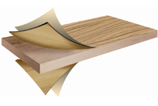 ��(x��)ľ����(sh��)ľ��